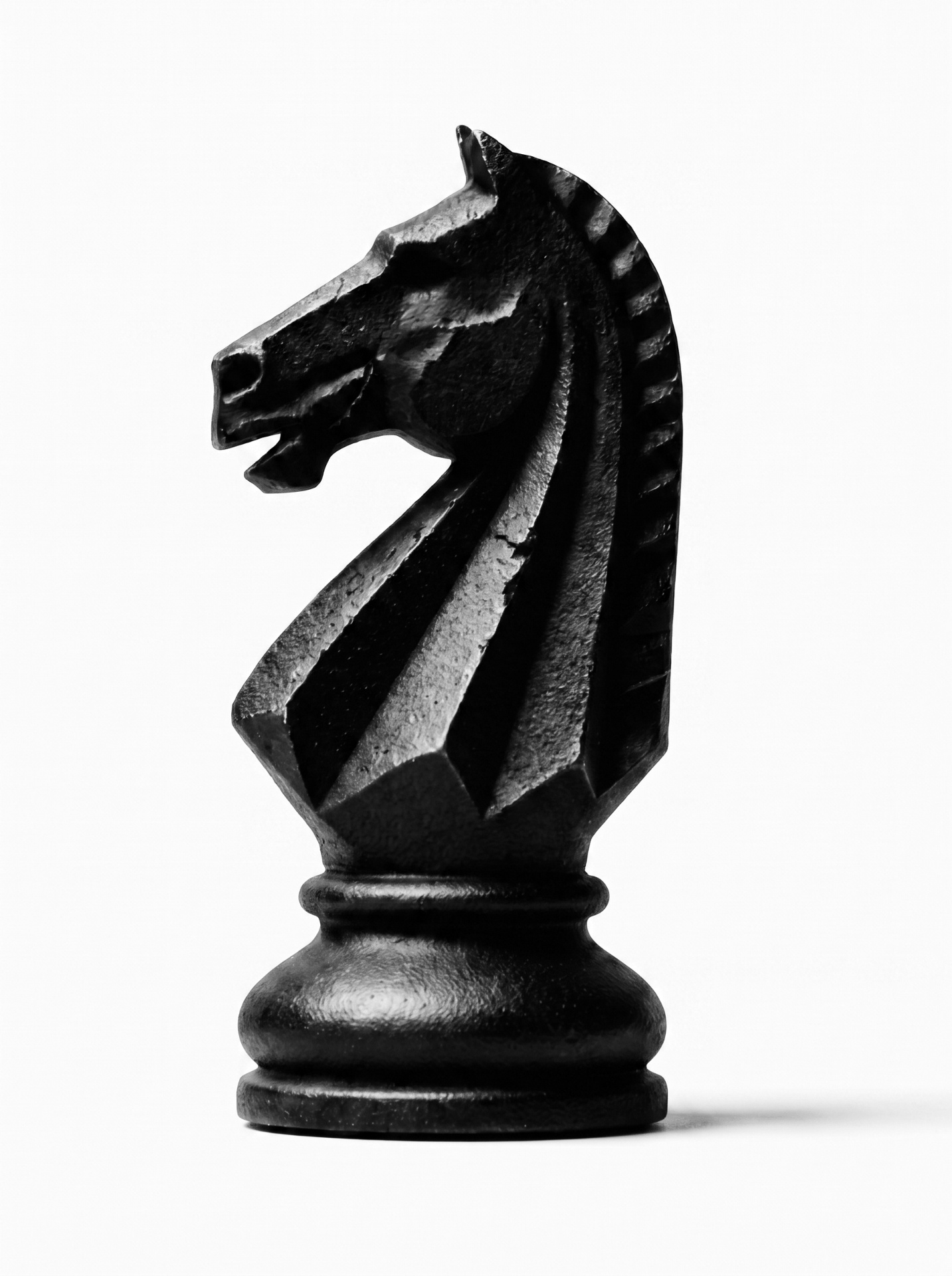 Knight